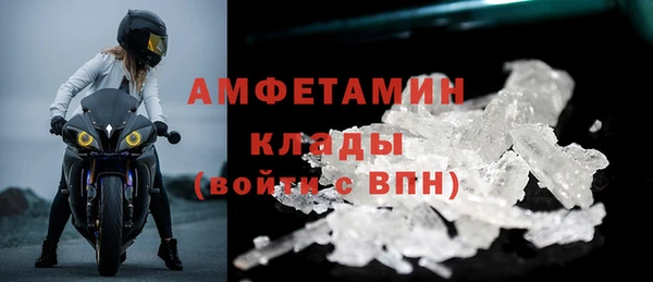 молекула духа Карпинск