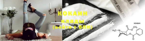молекула духа Карпинск