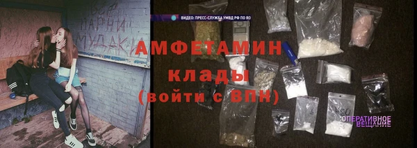 молекула духа Карпинск